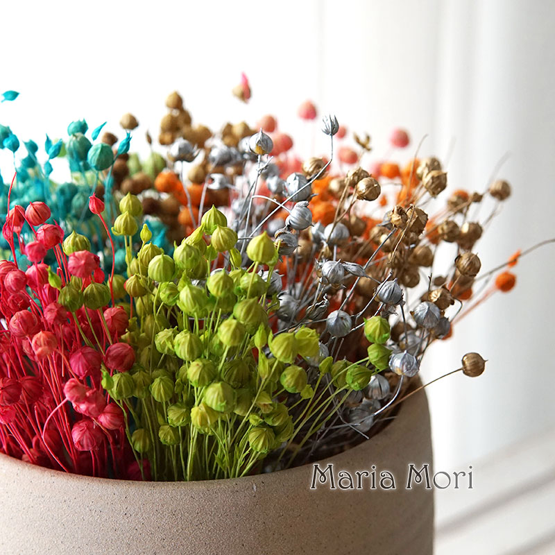 Dried Flower Bunch - 5g/Preserved Flax Bean Natural Real Flowers