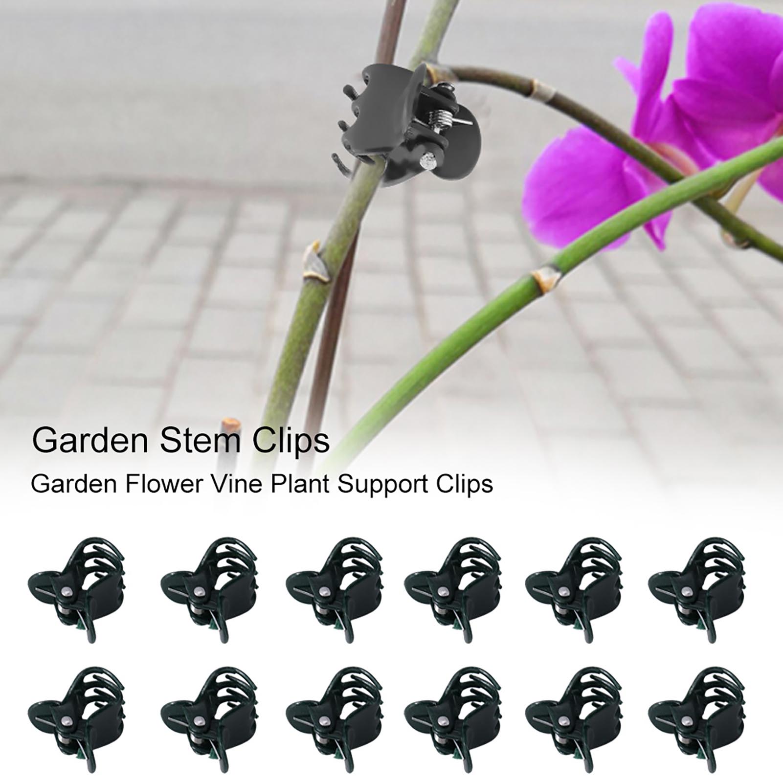 Florist Supp - 100pcs Mini Plant Clips Garden Flower