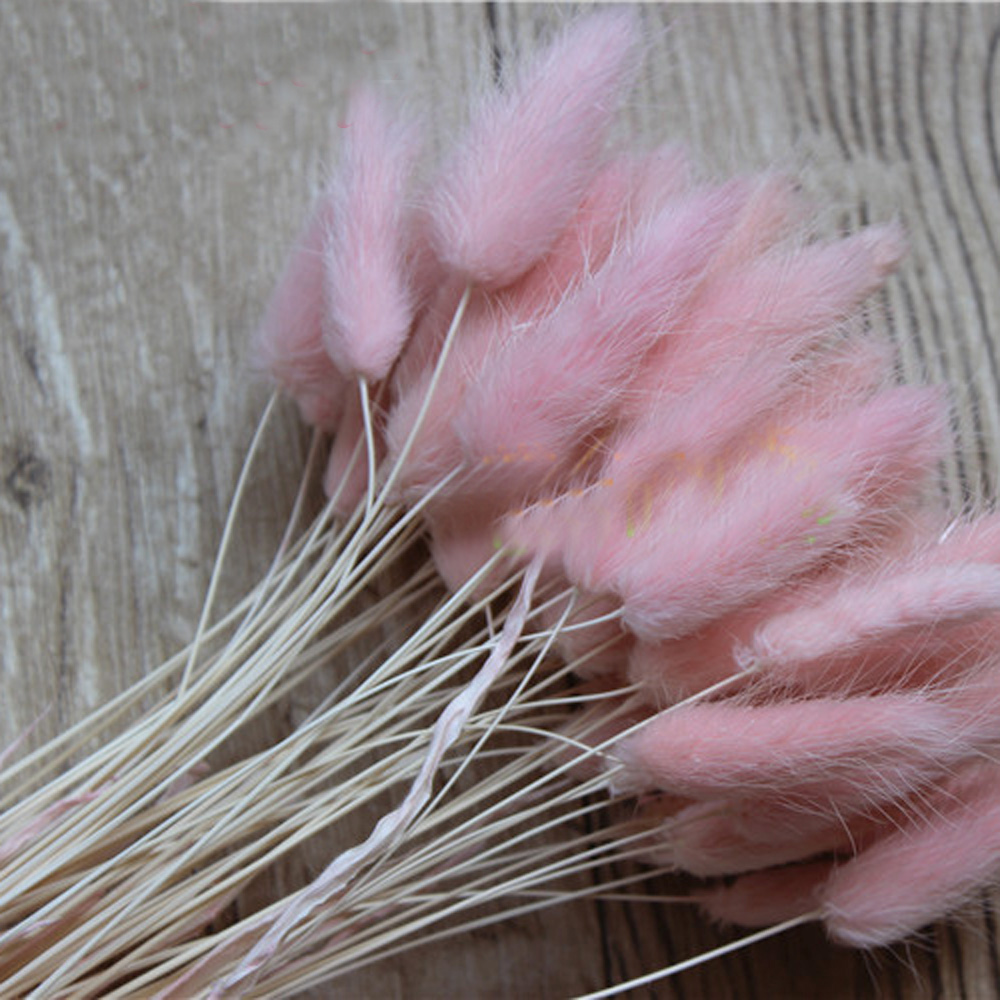 50pcs dried natural flower bou - Dried Flower Bunch ulasan dan harga