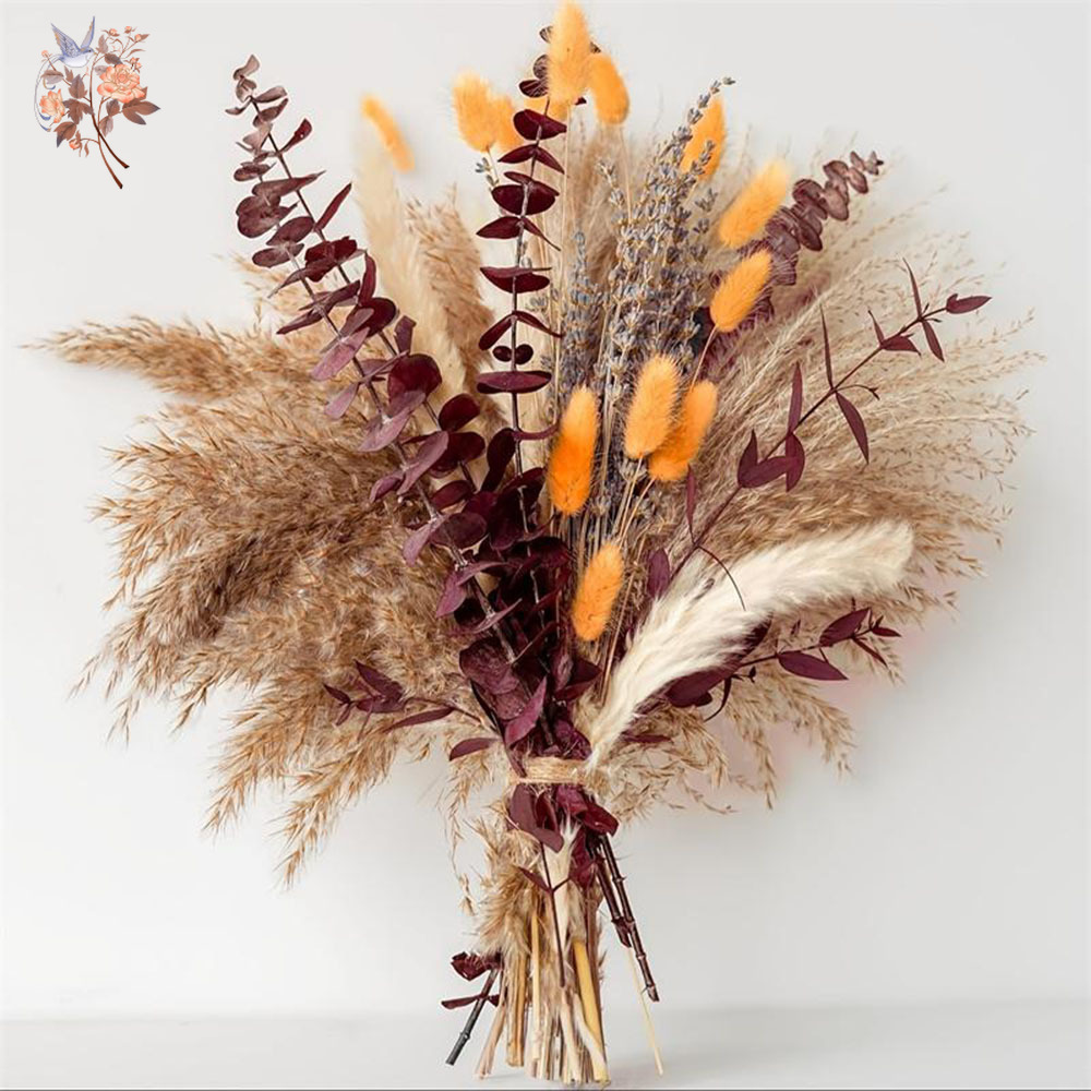 75PCS Dried Pampas Eucalyptus  - Dried Flower Bunch ulasan dan harga