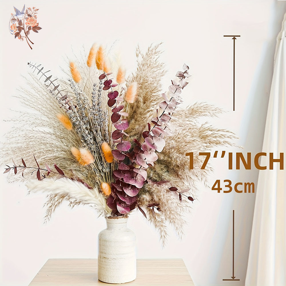 75PCS Dried Pampas Eucalyptus  - Dried Flower Bunch ulasan dan harga