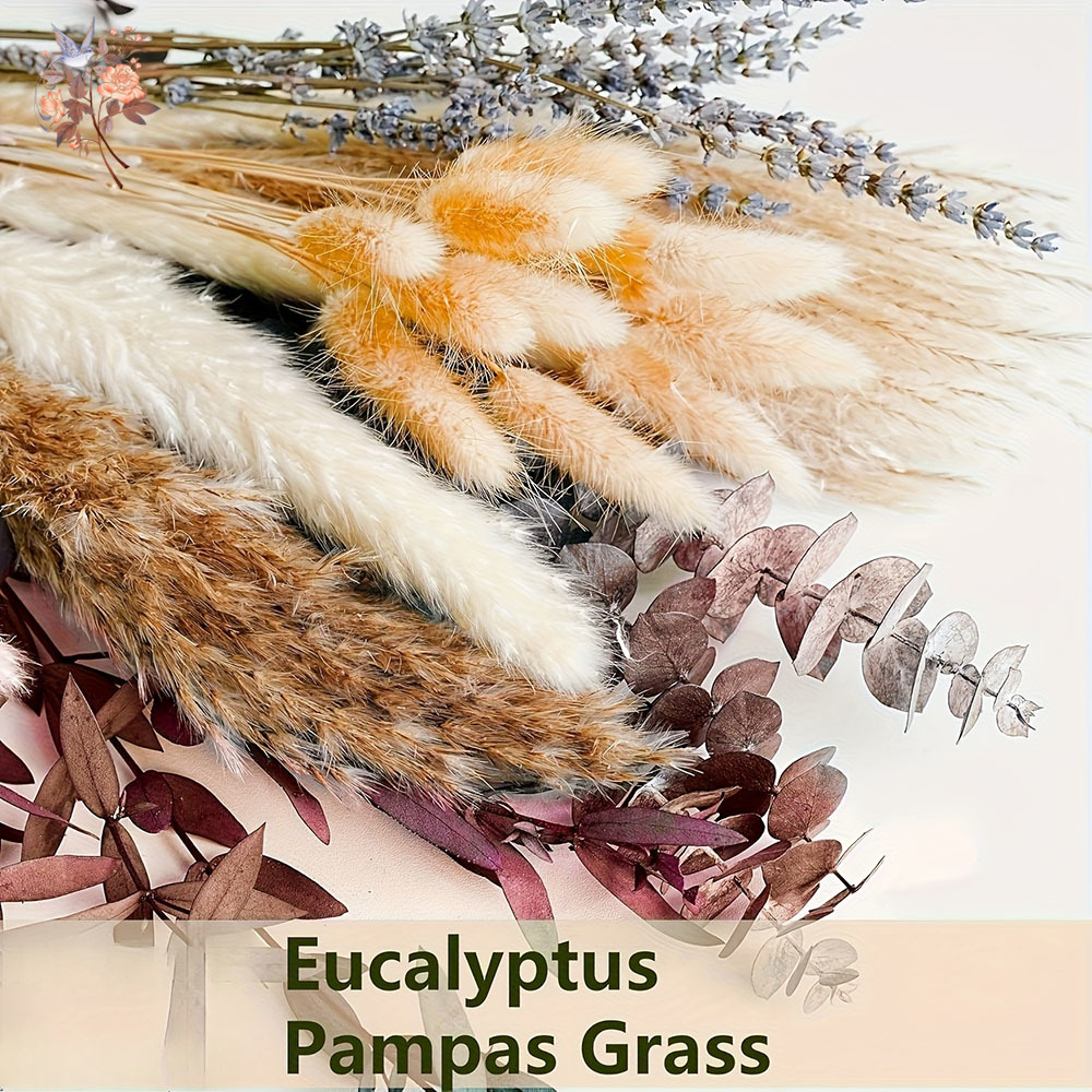 75PCS Dried Pampas Eucalyptus  - Dried Flower Bunch ulasan dan harga