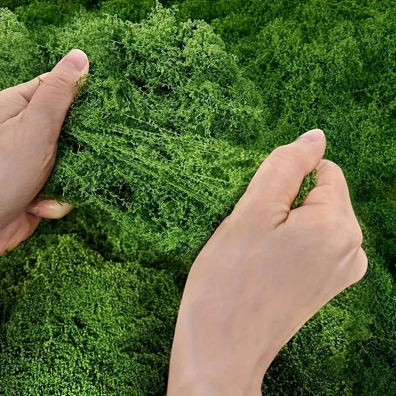 20' X 20' Faux Moss Mat for Pl - Preserved Moss Sheet ulasan dan harga