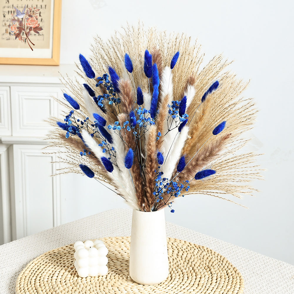 70 Stem Blue Fluffly Rabbit Ta - Dried Flower Bunch ulasan dan harga