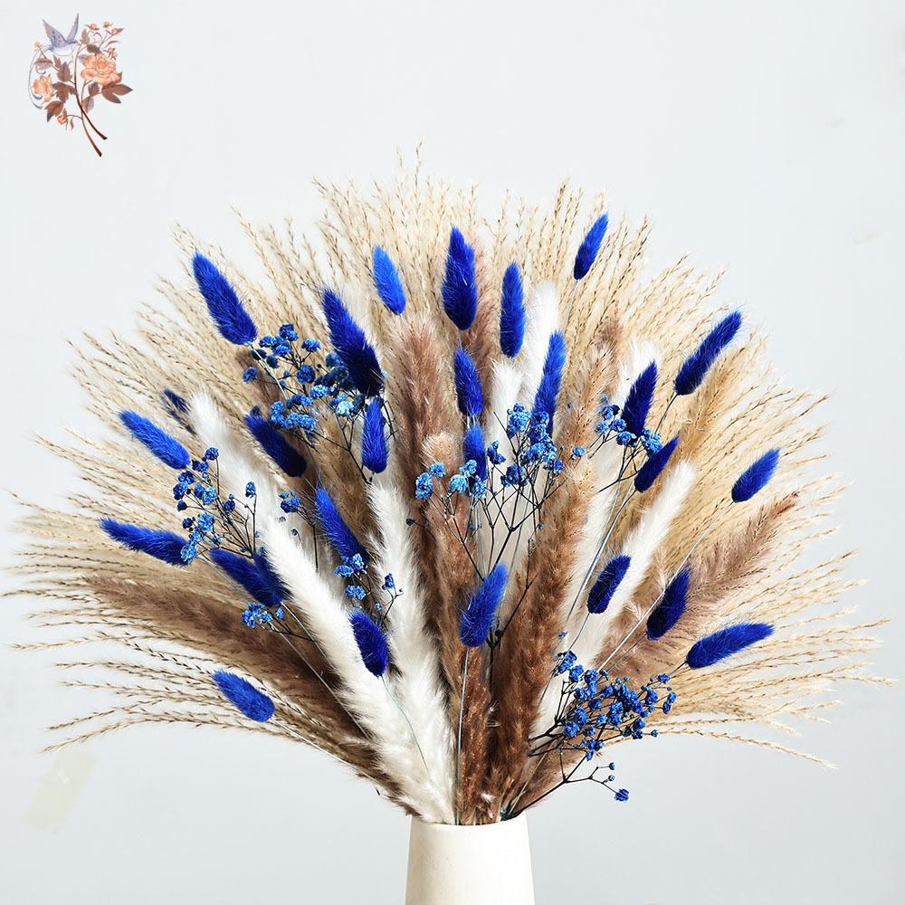 70 Stem Blue Fluffly Rabbit Ta - Dried Flower Bunch ulasan dan harga