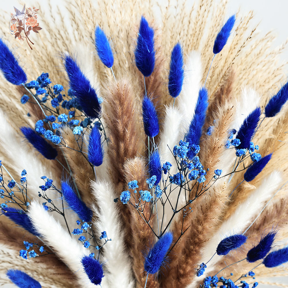 70 Stem Blue Fluffly Rabbit Ta - Dried Flower Bunch ulasan dan harga