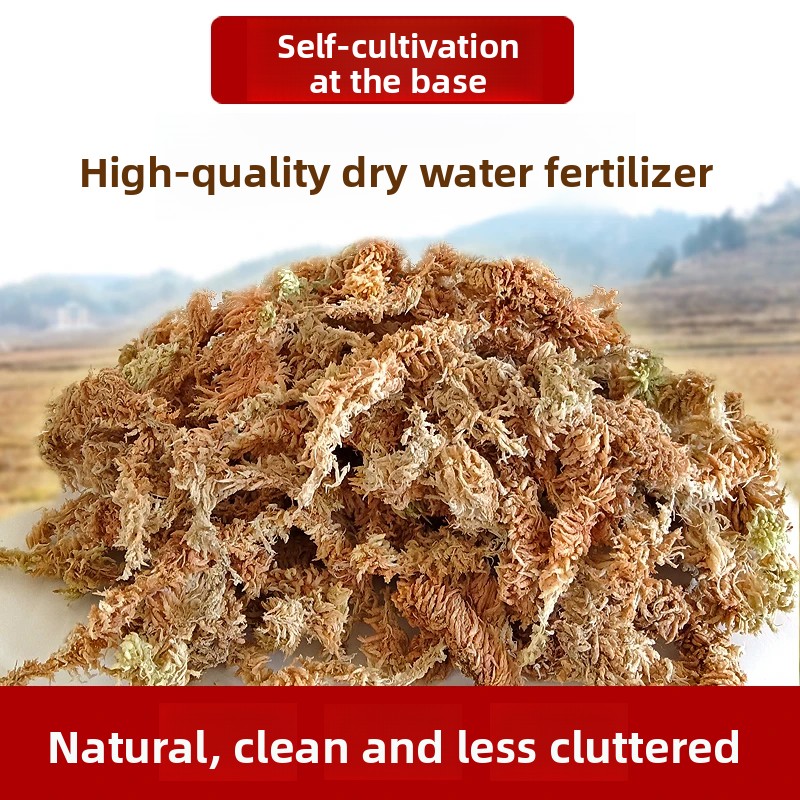 Grade A Dried Sphagnum Moss, N - Preserved Moss Sheet ulasan dan harga
