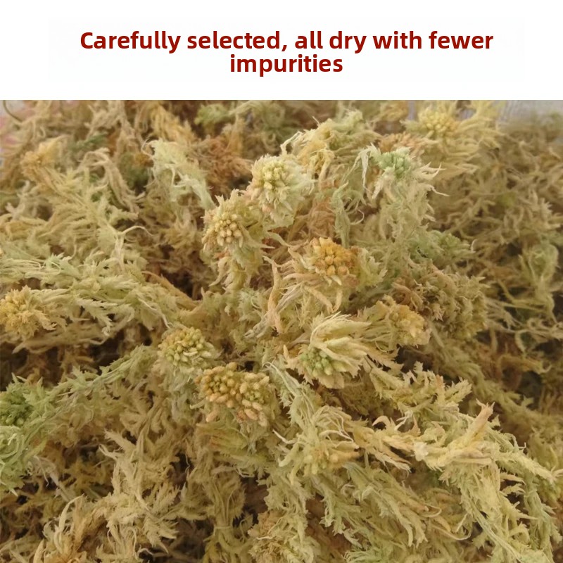 Grade A Dried Sphagnum Moss, N - Preserved Moss Sheet ulasan dan harga