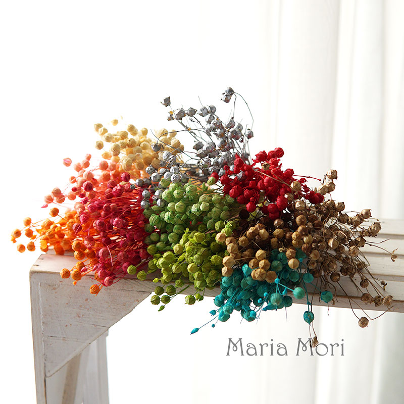 5g/Preserved Flax Bean Natural - Dried Flower Bunch ulasan dan harga