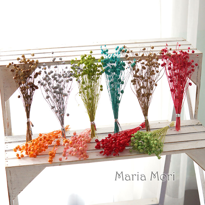 5g/Preserved Flax Bean Natural - Dried Flower Bunch ulasan dan harga