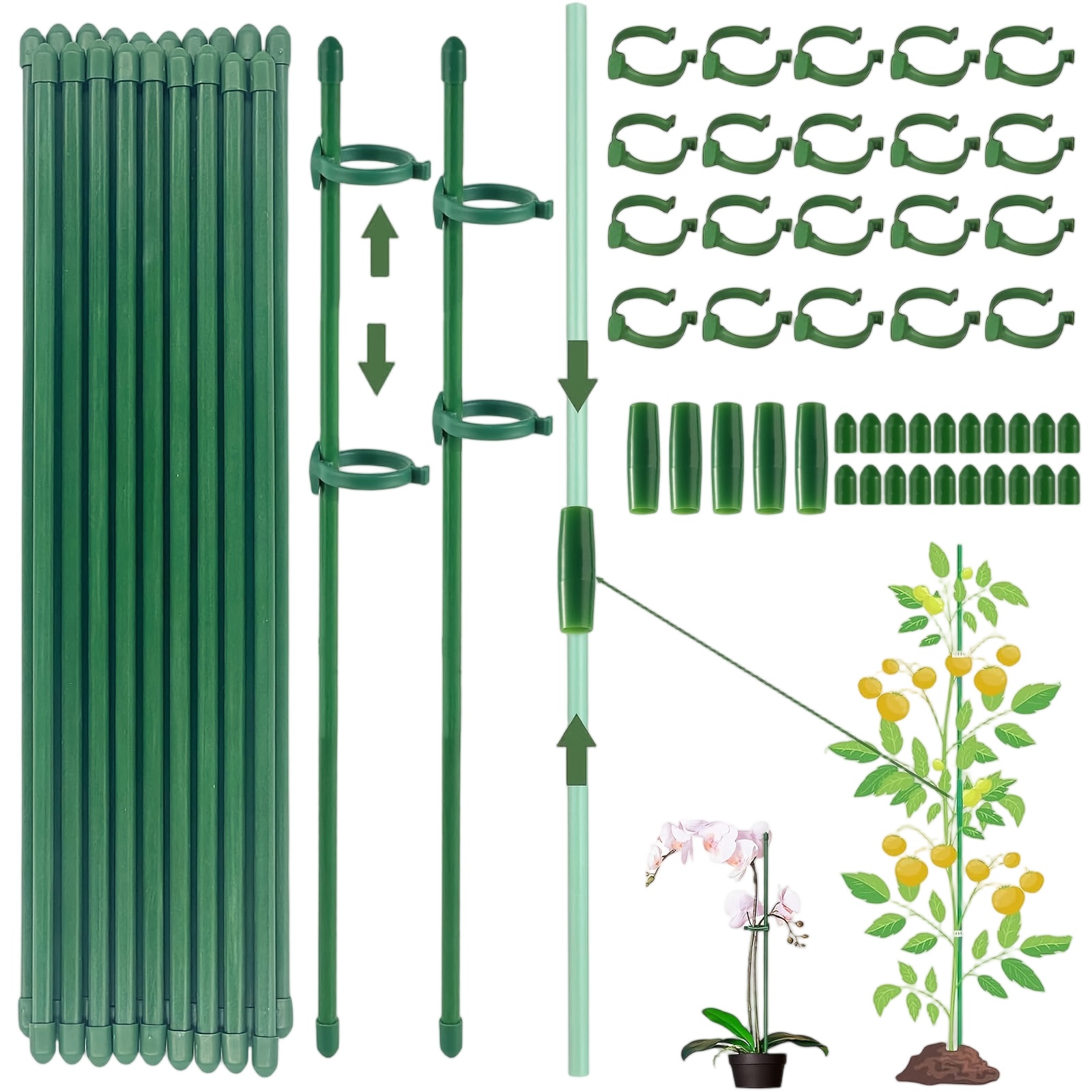 Plant Supports Rod Single Stem - Florist Supp ulasan dan harga