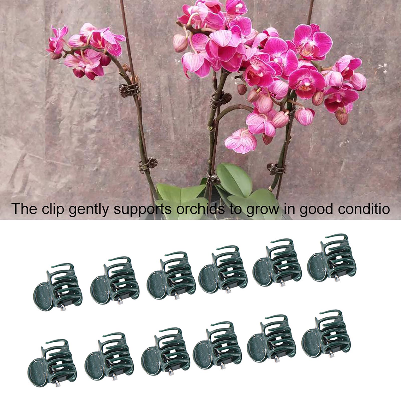 100pcs Mini Plant Clips Garden - Florist Supp ulasan dan harga