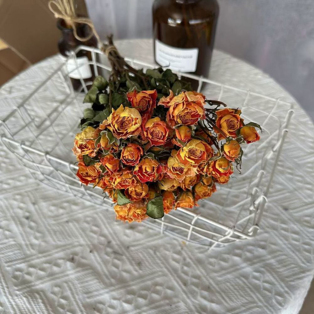Real Preserved Roses Dried Flo - Dried Flower Bunch ulasan dan harga