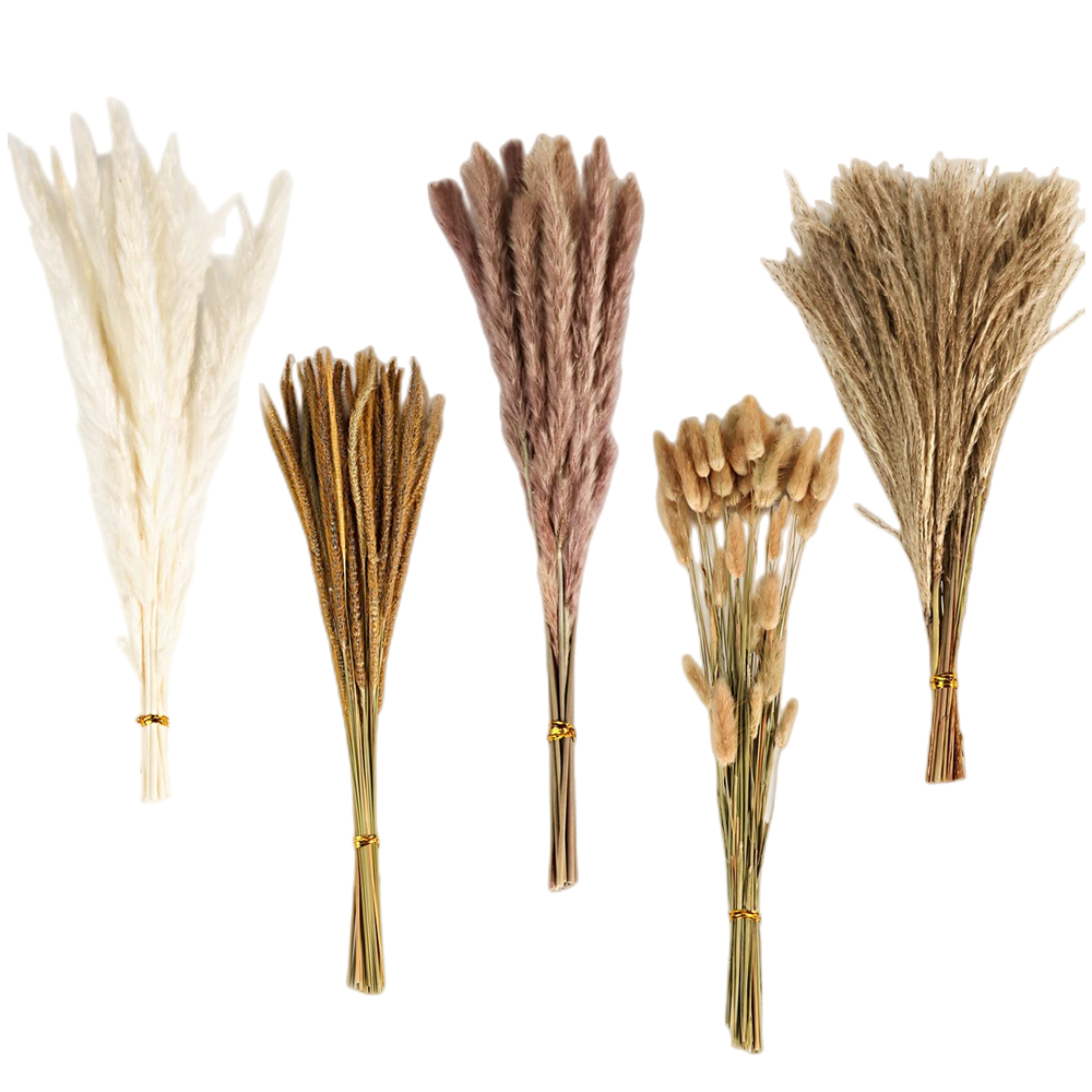 Autumn Vintage Mixed Dried Flo - Dried Flower Bunch ulasan dan harga