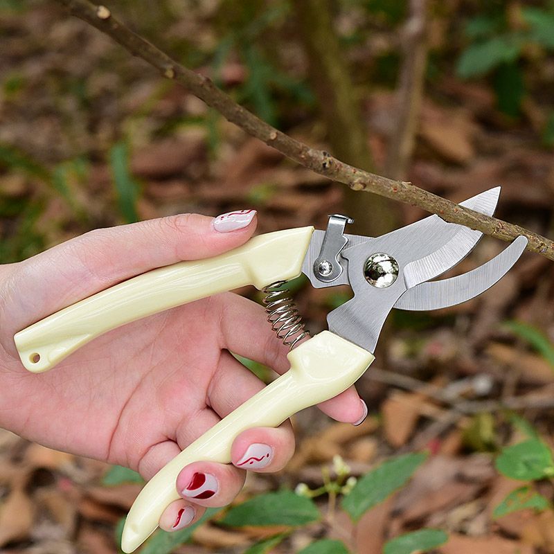 Labor‑Saving Garden Pruning Sh - Florist Supp ulasan dan harga