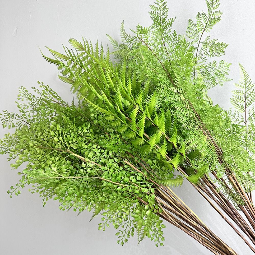 Realistic Artificial Fern Plan - Preserved Moss Sheet ulasan dan harga