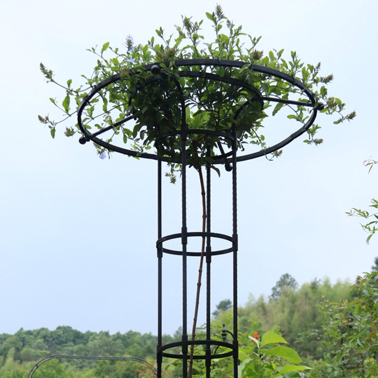 Garden Trellis Umbrella Tower  - Florist Supp ulasan dan harga