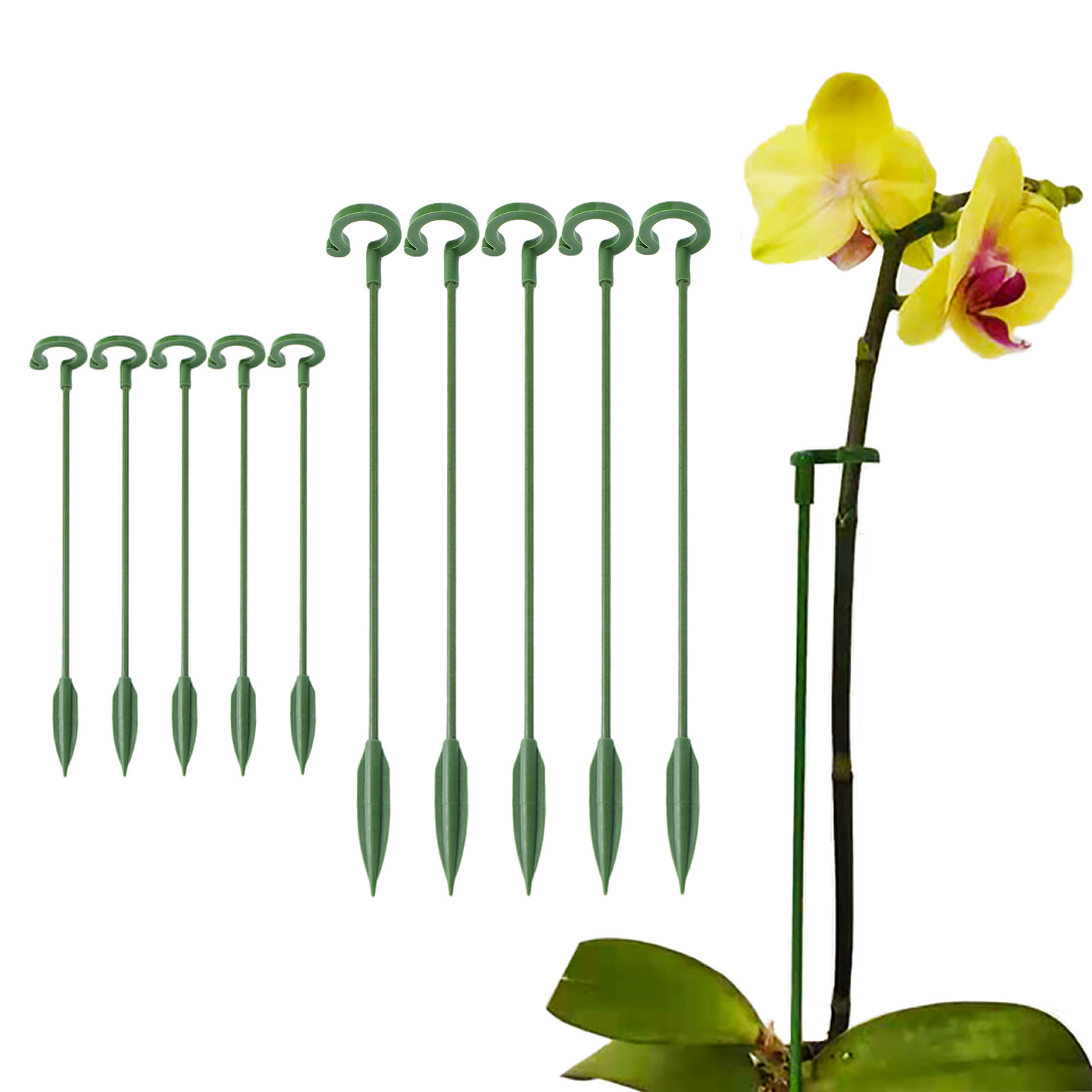 5pcs Plant Support Stakes with - Florist Supp ulasan dan harga