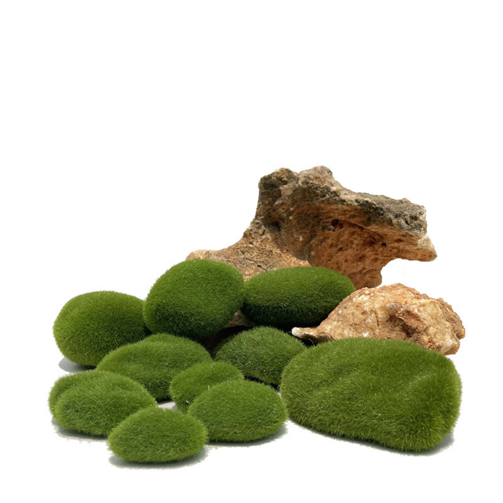 Artificial Fake Moss Rock Eter - Preserved Moss Sheet ulasan dan harga