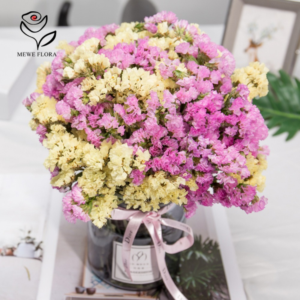 100g Dried Forget Me Not Flowe - Dried Flower Bunch ulasan dan harga