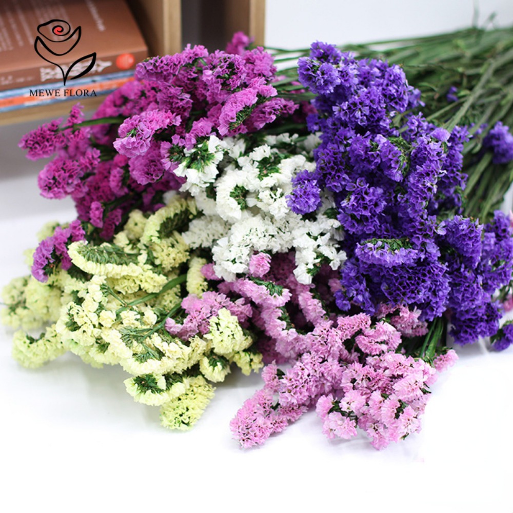 100g Dried Forget Me Not Flowe - Dried Flower Bunch ulasan dan harga