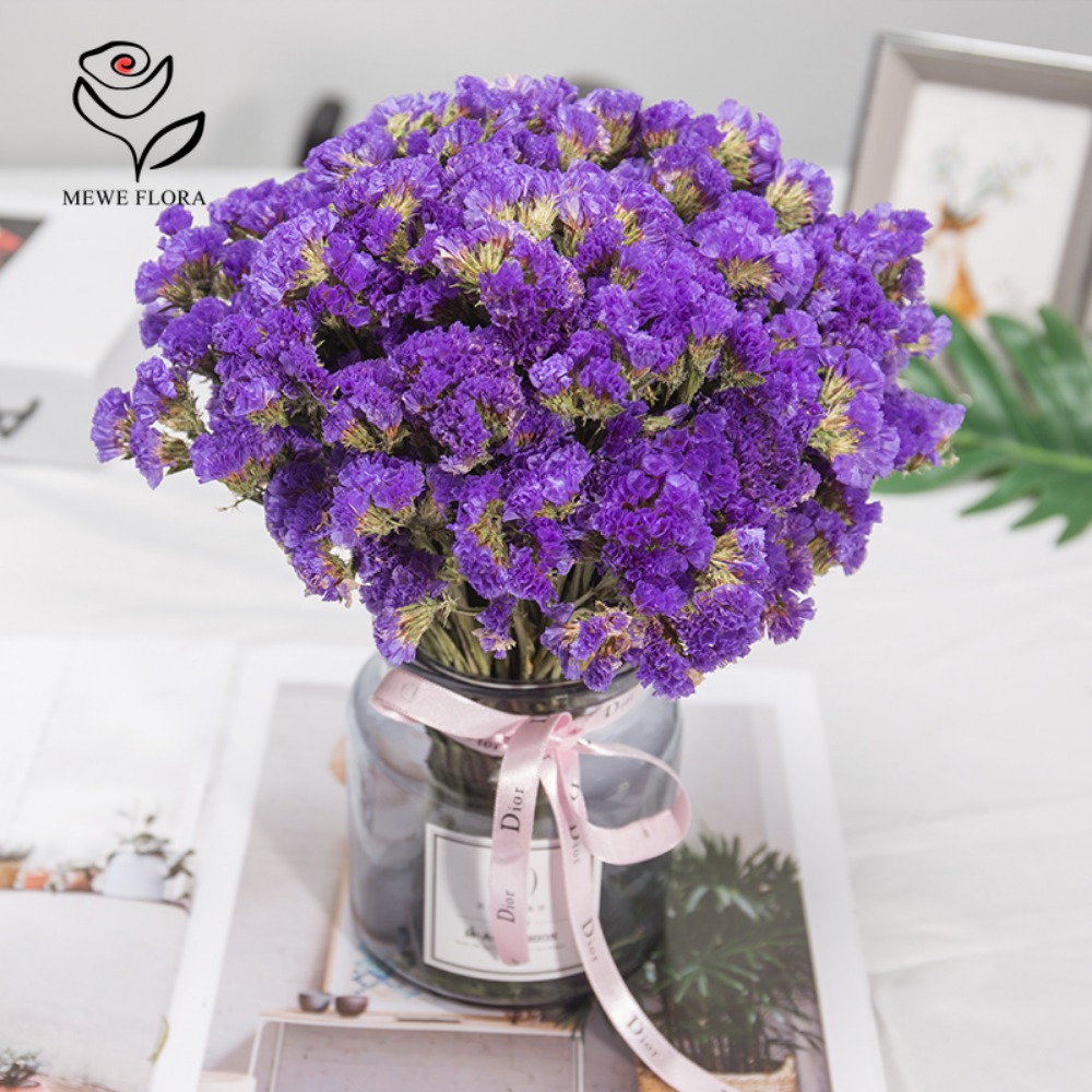 100g Dried Forget Me Not Flowe - Dried Flower Bunch ulasan dan harga
