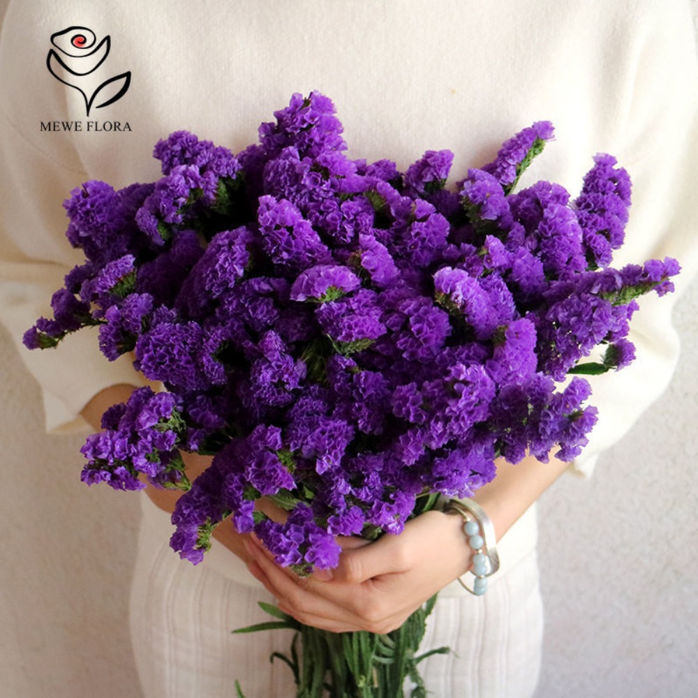 100g Dried Forget Me Not Flowe - Dried Flower Bunch ulasan dan harga