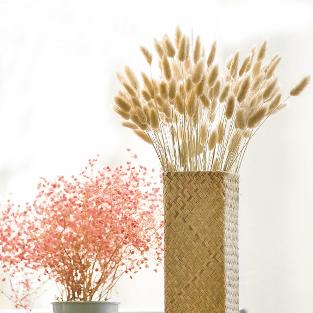 200pcs natural dried Lagurus o - Dried Flower Bunch ulasan dan harga