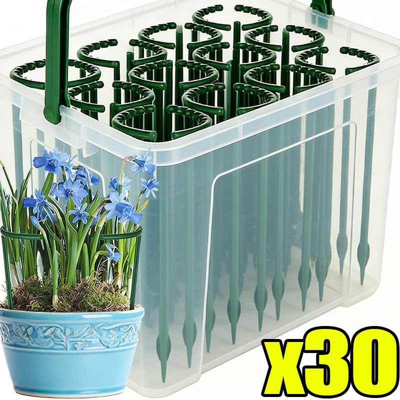 30-1PCS Plastic Plant Support  - Florist Supp ulasan dan harga
