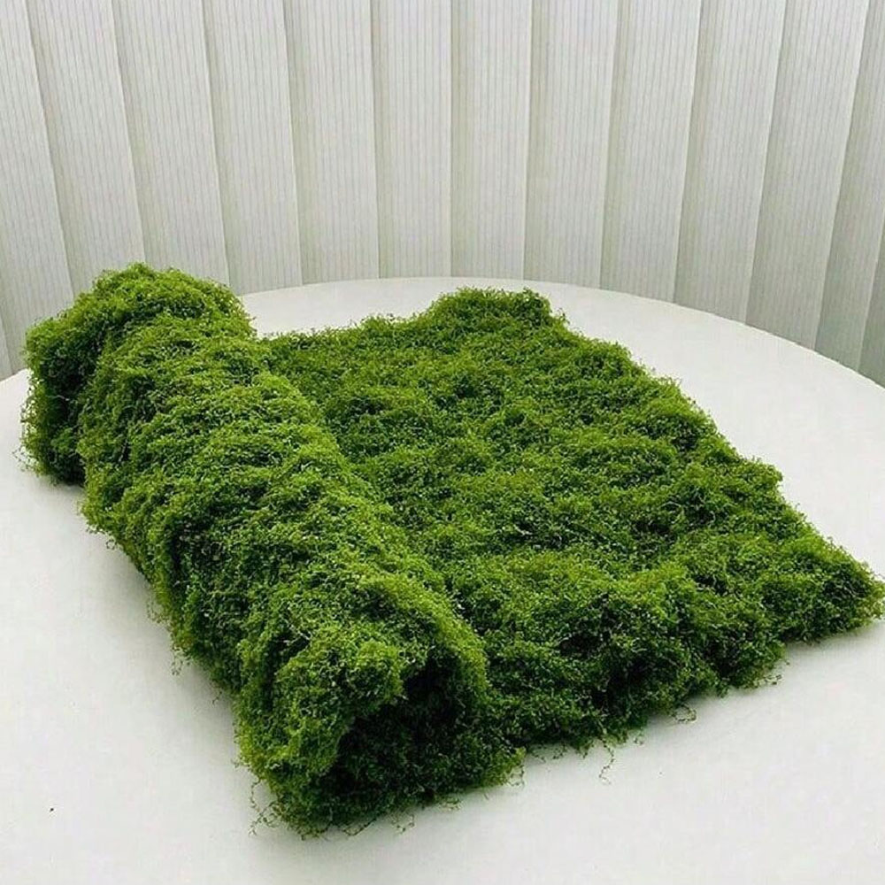 1*1m Fake Moss DIY Crafts Gras - Preserved Moss Sheet ulasan dan harga