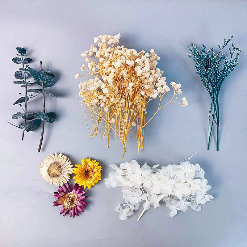 1pack Multifarious Dried Flowe - Dried Flower Bunch ulasan dan harga