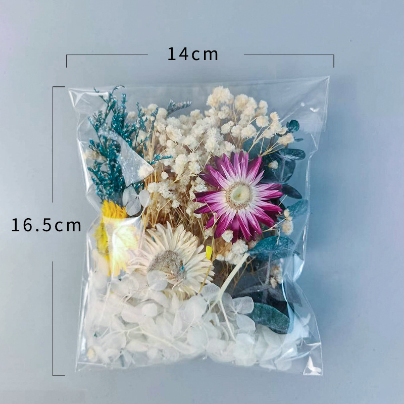 1pack Multifarious Dried Flowe - Dried Flower Bunch ulasan dan harga