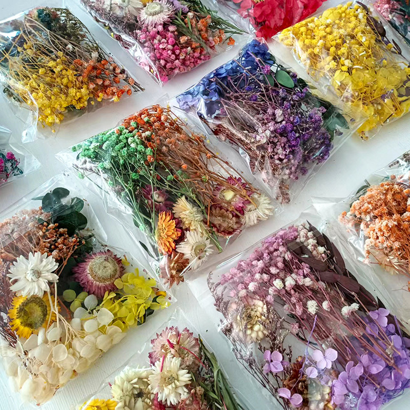 1pack Multifarious Dried Flowe - Dried Flower Bunch ulasan dan harga