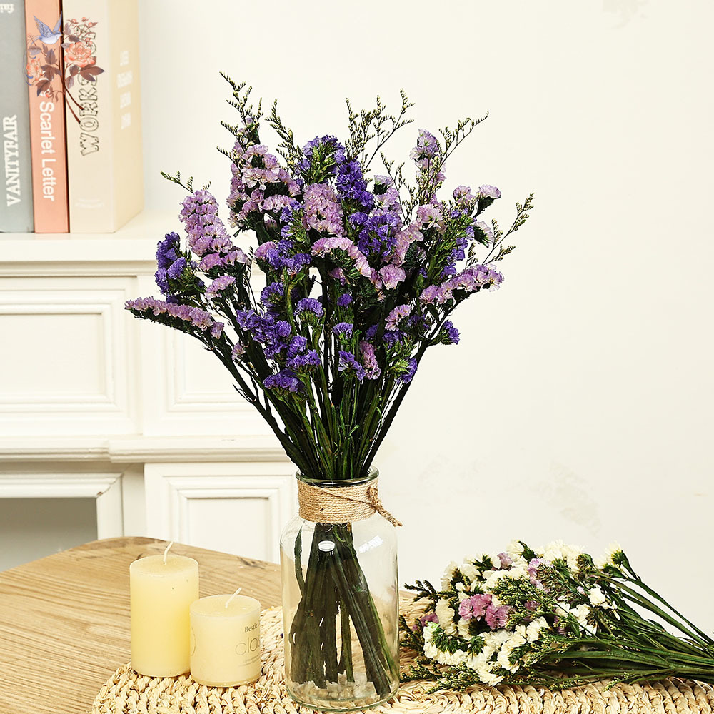 100g Natural Real Forget-me-no - Dried Flower Bunch ulasan dan harga