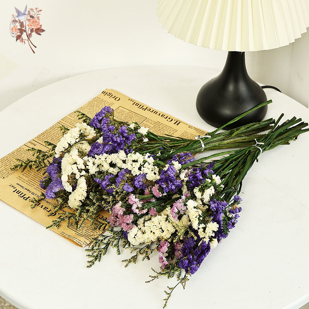 100g Natural Real Forget-me-no - Dried Flower Bunch ulasan dan harga