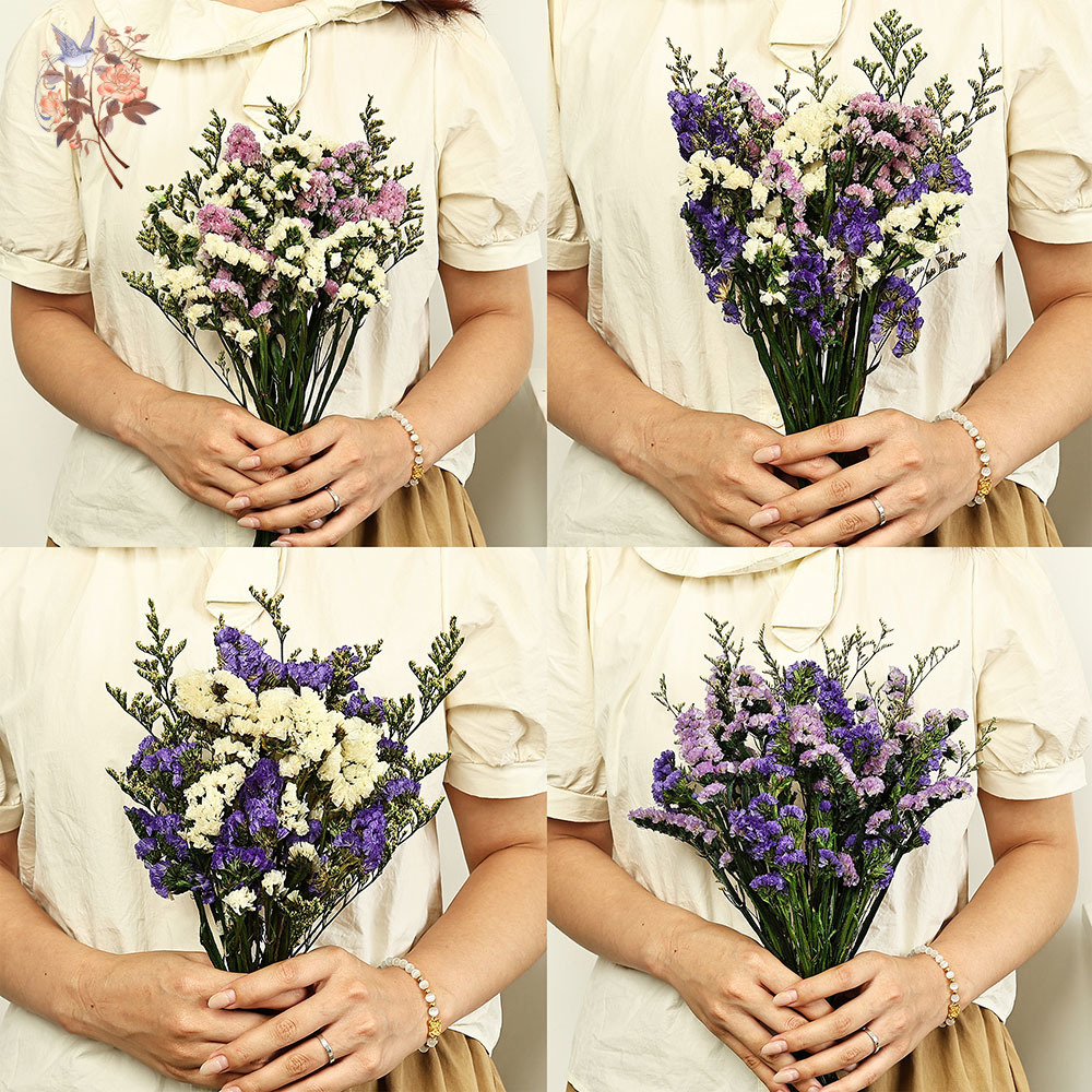 100g Natural Real Forget-me-no - Dried Flower Bunch ulasan dan harga