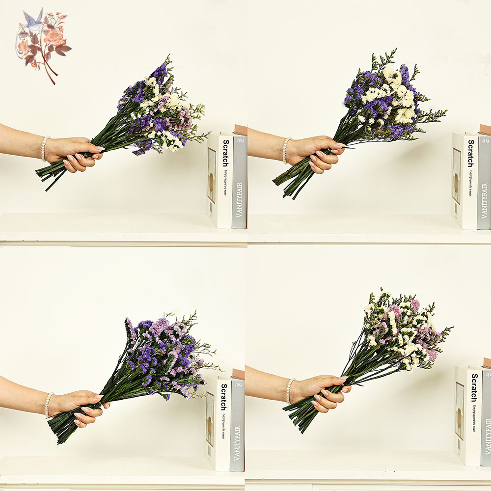 100g Natural Real Forget-me-no - Dried Flower Bunch ulasan dan harga