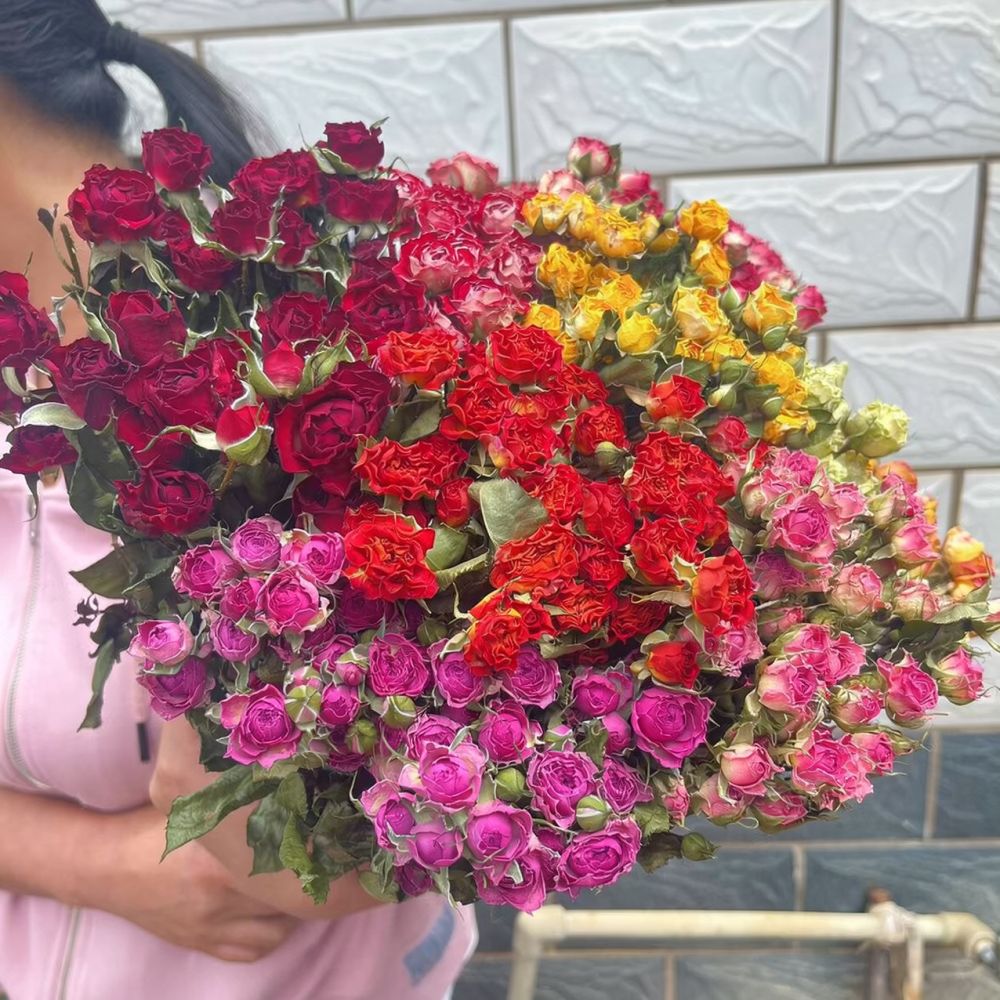 Natural Dried Bubble Rose Flow - Dried Flower Bunch ulasan dan harga