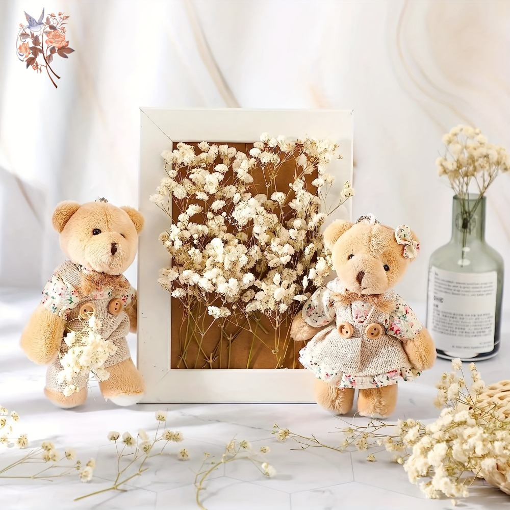 100pcs Mini Dried Baby's Breat - Dried Flower Bunch ulasan dan harga