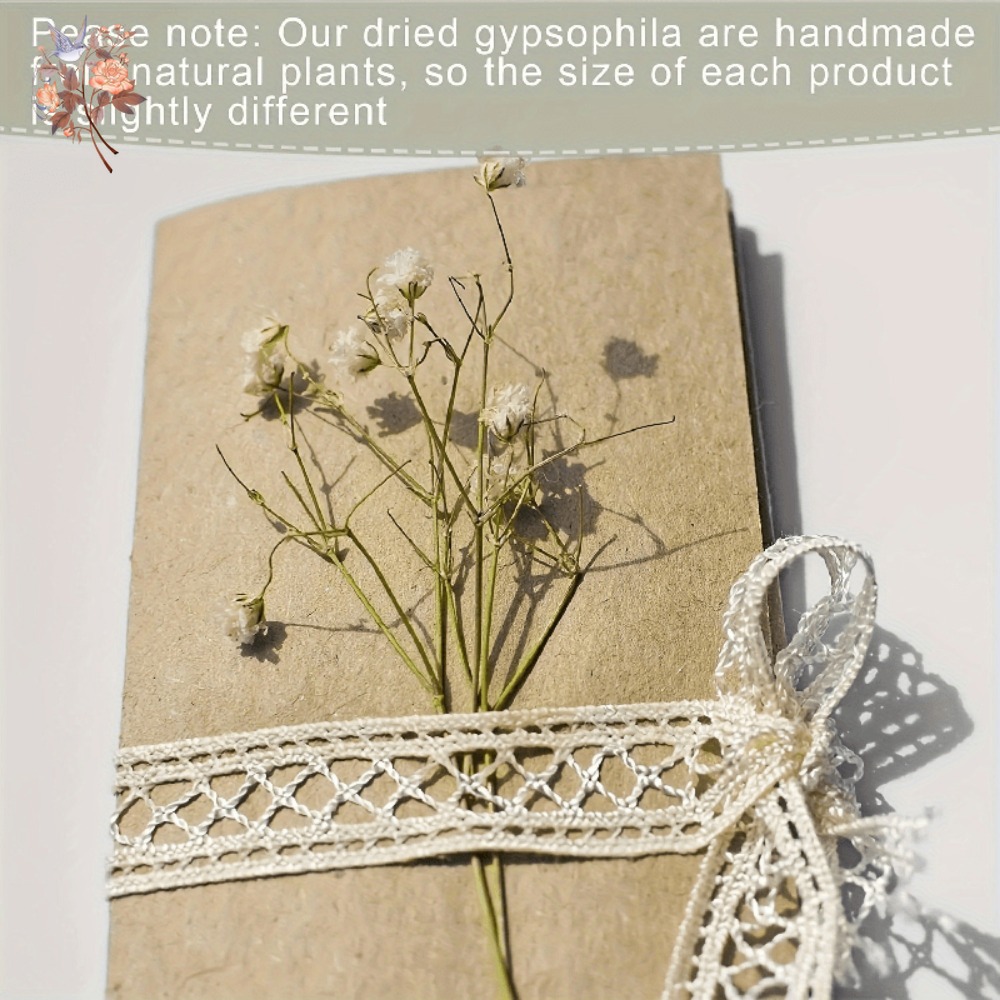 100pcs Mini Dried Baby's Breat - Dried Flower Bunch ulasan dan harga